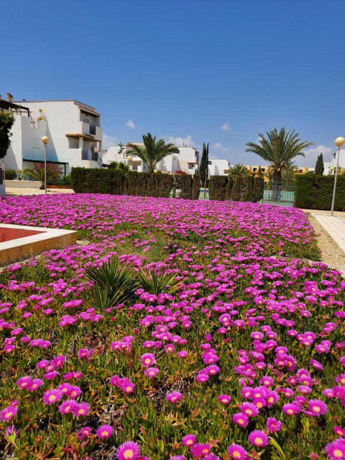 Apartamento En Primera Linea De Vera Playa Naturista! Exterior photo