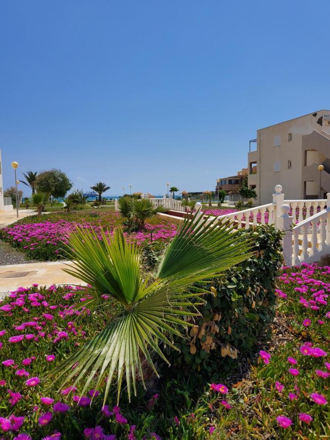 Apartamento En Primera Linea De Vera Playa Naturista! Exterior photo
